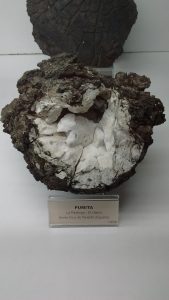 Restingolite