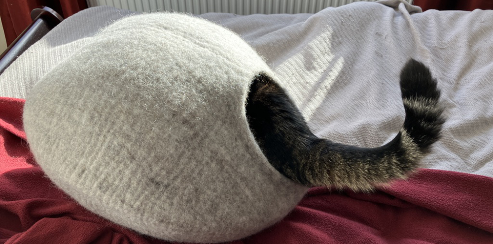 Grabbity's tail extending out of the entrance to her grey felt cat cave.