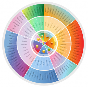 An emotion wheel