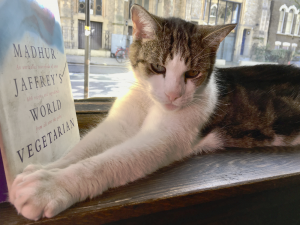 A white and tabby cat sitting by a book of vegetarian recipes.